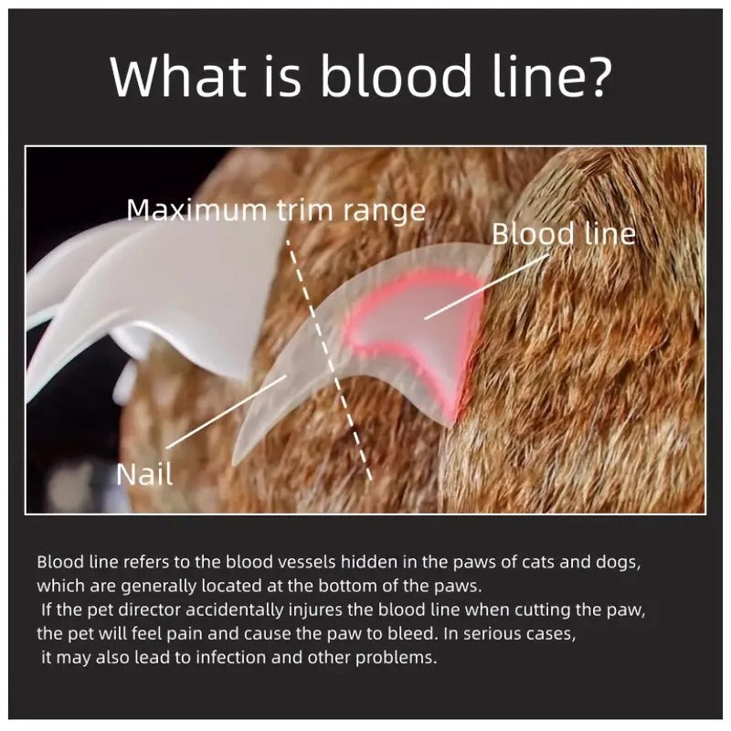 https://static.hzpdex.com/49757b27-a6b1-48c5-9491-9d327b5f809d.jpg